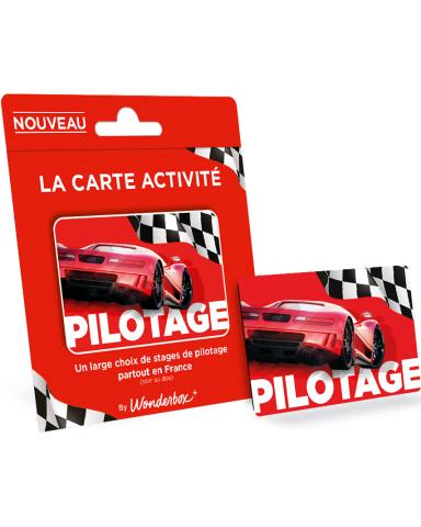 Carte Activité Pilotage