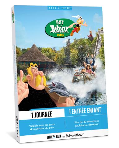 Parc Astérix - 1 entrée enfant