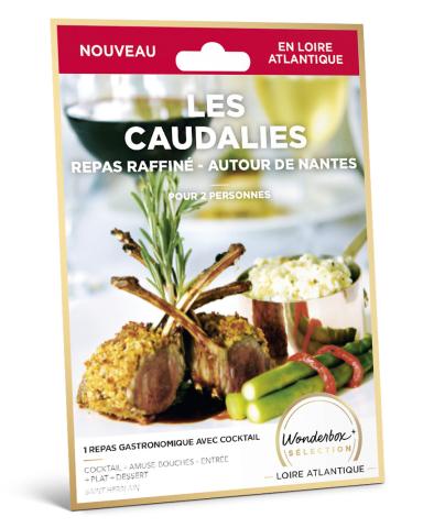 Les Caudalies repas raffiné - Autour de Nantes